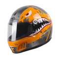 FiberTech Full Face Helmet - Fiber Glass with HD Visors